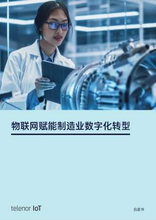 2025年物联网赋能制造业数字化转型白皮书
