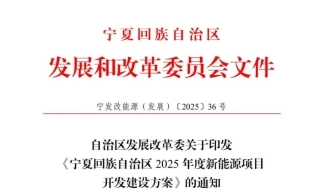 宁夏回族自治区2025年度新能源项目开发建设方案