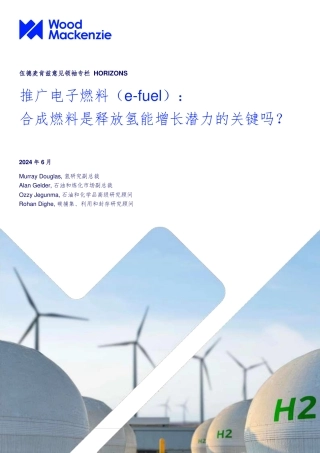 推广电子燃料（e-fuel）：合成燃料是释放氢能增长潜力的关键吗？
