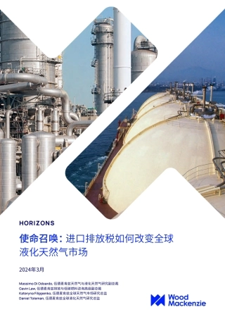 使命召唤： 进口排放税如何改变全球液化天然气市场