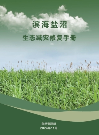 滨海盐沼生态减灾修复手册