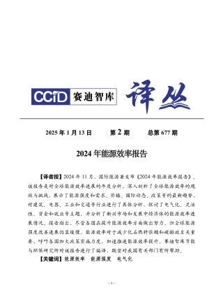 赛迪译丛：2024年能源效率报告