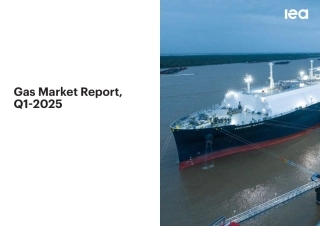 2025年第一季度天然气市场报告（英文版）