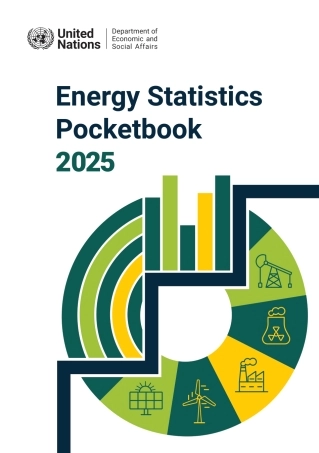 全球能源统计口袋书2025（英文版）