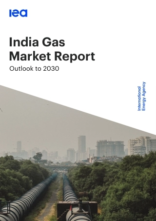 印度天然气市场报告：2030年展望报告（英文版）