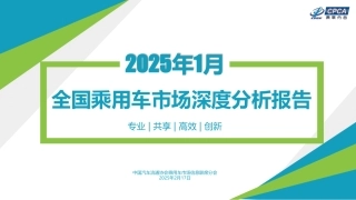 2025年1月份全国乘用车市场深度分析报告