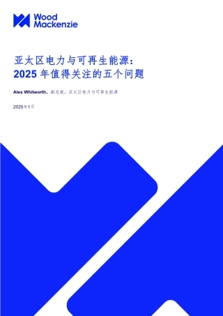 亚太区电力与可再生能源：2025年值得关注的五个问题