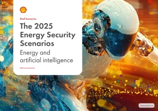 全球能源安全情景2025（英文版）