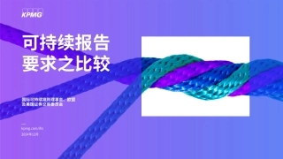 可持续报告要求之比较
