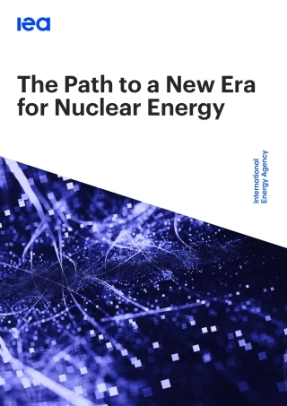 通往核能新时代的道路（英文版）