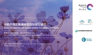 中欧产煤区能源转型国际对比研究报告：聚焦公正转型指数、就业及经济多元化