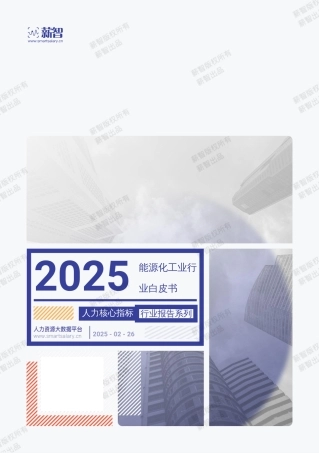 2025年能源化工业行业白皮书