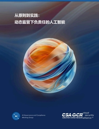 从原则到实践：在动态监管环境下负责任的人工智能