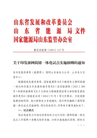 山东省发改委关于印发源网荷储一体化试点实施细则的通知