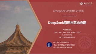 DeepSeek原理和落地应用