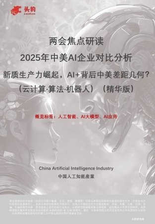 两会焦点研读 2025年中美AI企业对比分析 新质生产力崛起，AI+背后中美差距几何？（云计算·算法·机器人）（精华版）