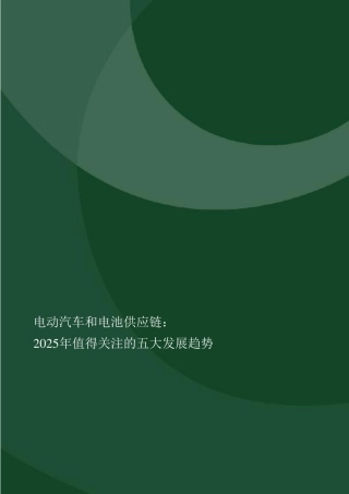 电动汽车和电池供应链：2025年值得关注的趋势