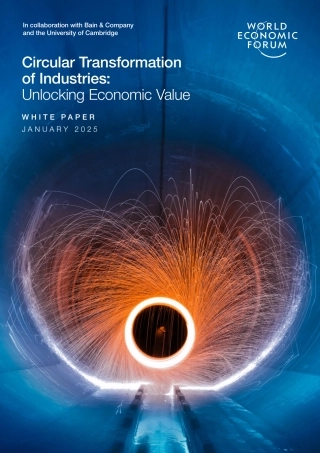 产业循环转型：释放经济价值（英文版）