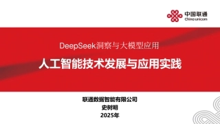 DeepSeek洞察与大模型应用：人工智能技术发展与应用实践