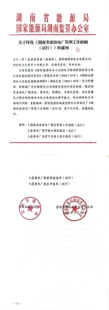 湖南省虚拟电厂服务管理工作细则（试行）