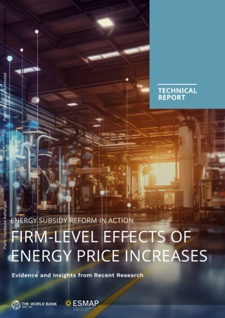 能源价格上涨对企业层面的影响（英文版）