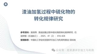 田松柏：渣油加氢过程中硫化物的转化规律研究