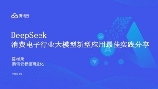 DeepSeek消费电子行业大模型新型应用最佳实践分享