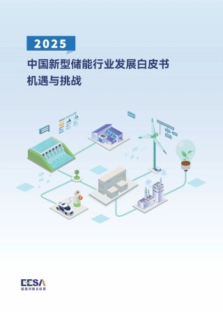 储能领跑者联盟：2025中国新型储能行业发展白皮书机遇与挑战