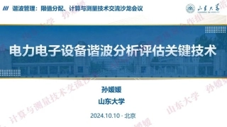 山东大学 孙媛媛：电力电子设备谐波分析评估关键技术
