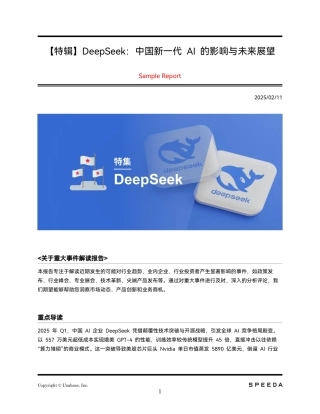 DeepSeek：中国新一代AI的影响与未来展望