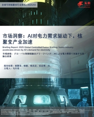 头豹：全球可控核聚变行业简报：市场洞察：AI对电力需求驱动下，核聚变产业加速