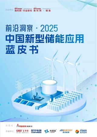 2025中国新型储能应用蓝皮书
