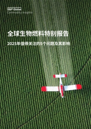 全球生物燃料特别报告：2025年值得关注的5个问题及其影响
