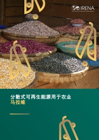 IRENA国际可再生能源机构：分散式可再生能源用于农业（马拉维）