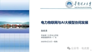 华南理工大学 陈皓勇：电力物联网与AI大模型协同发展