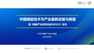 中关村储能产业技术联盟：中国储能技术与产业最新进展与展望暨《储能产业研究白皮书2025》发布