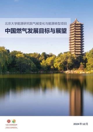 北京大学能源研究院气候变化与能源转型项目：中国燃气发展目标与展望