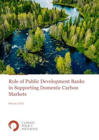 ESMA：公共开发银行在支持国内碳市场中的作用（英文版）