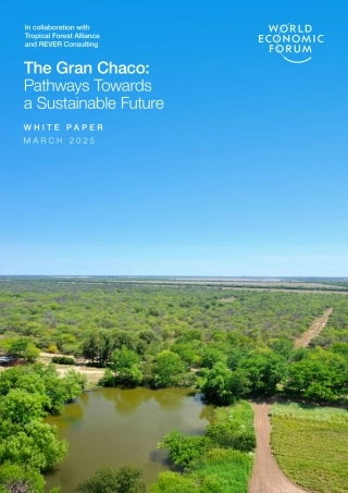 世界经济论坛：大查科地区：迈向可持续未来之路白皮书（英文版）