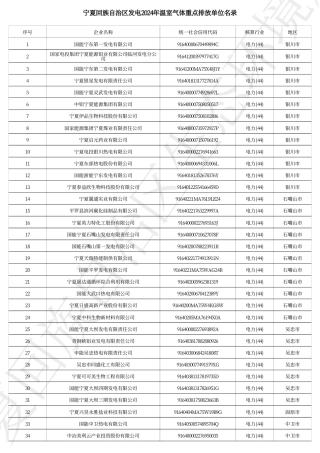 宁夏回族自治区发电2024年温室气体重点排放单位名录_20231229190325A927