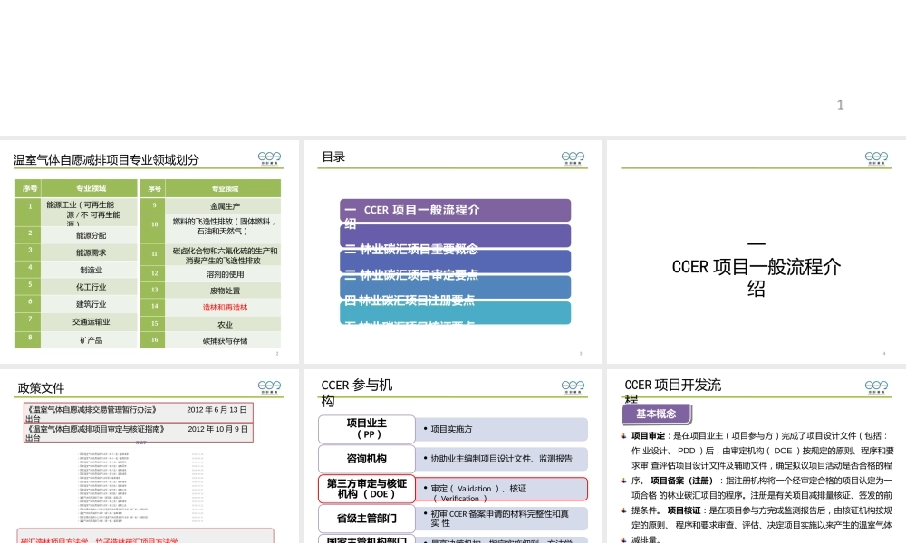林业碳汇项目开发流程与审核要点