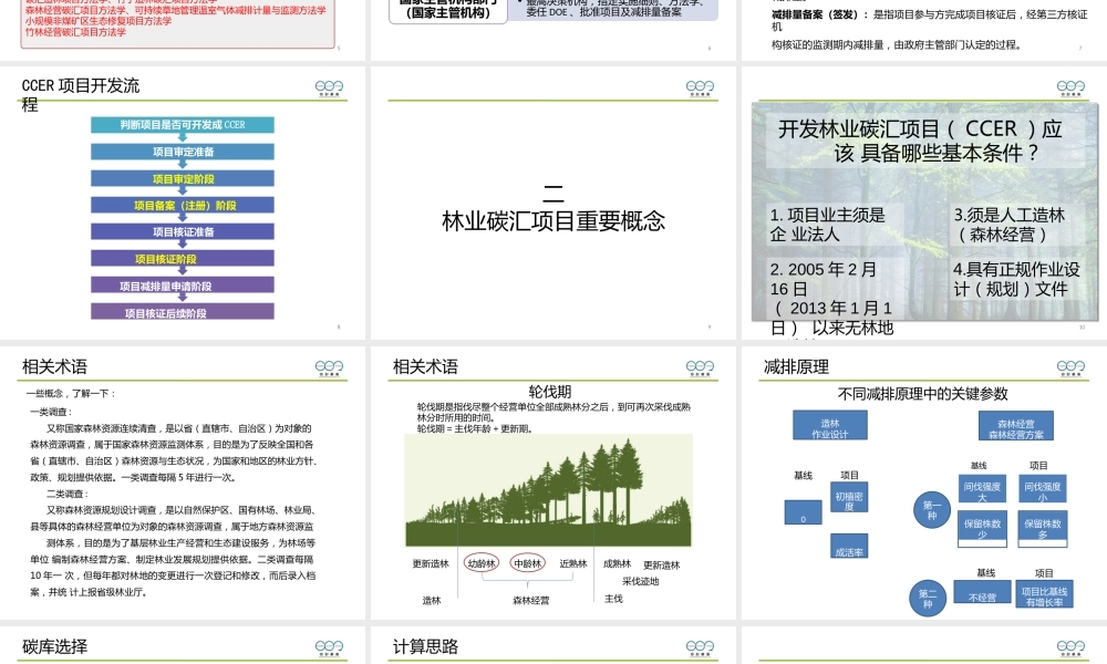 林业碳汇项目开发流程与审核要点
