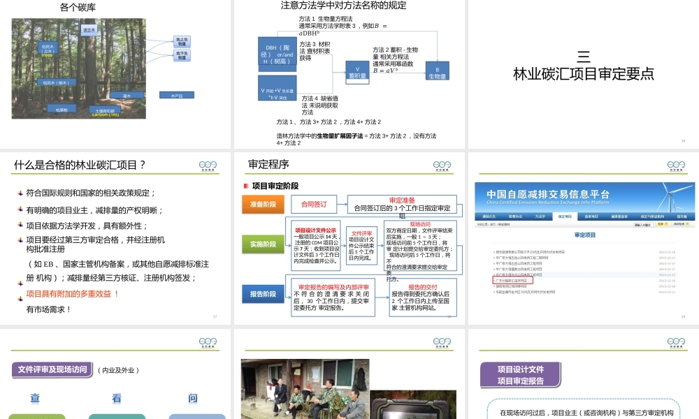 林业碳汇项目开发流程与审核要点