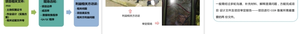 林业碳汇项目开发流程与审核要点