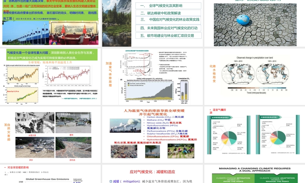 碳达峰碳中和背景下我国林业应对气候变化及林业碳汇项目开发(1)