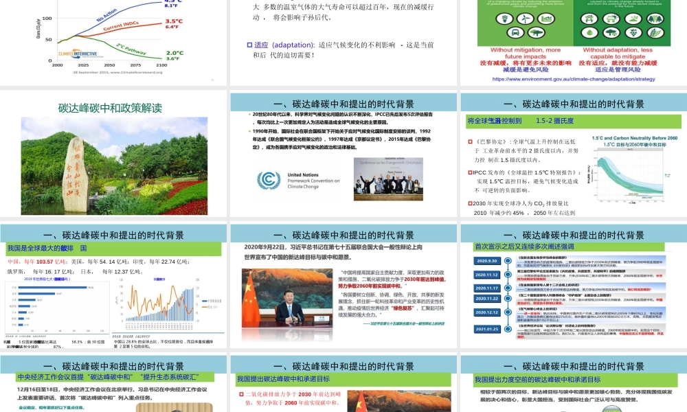 碳达峰碳中和背景下我国林业应对气候变化及林业碳汇项目开发(1)