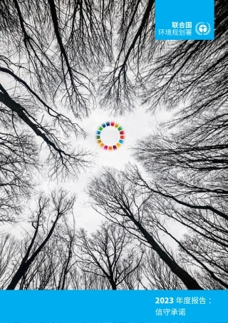 联合国环境署2023《年度报告》-24页