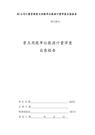 XX公司计量管理重点用能单位能源计量审查自查报告