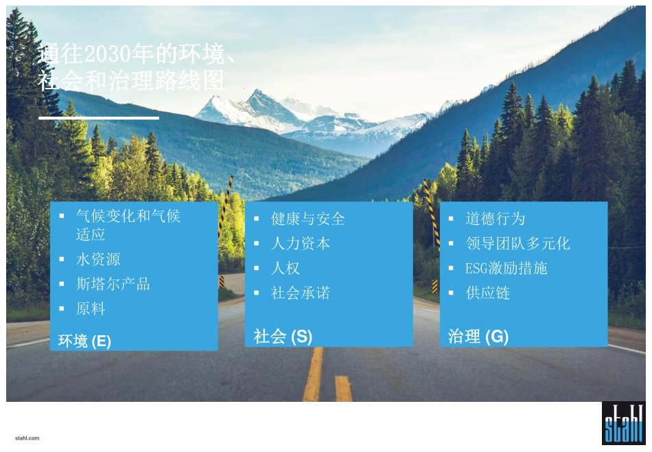 通往2030年的ESG环境、社会和治理路线图-stahl_第2页