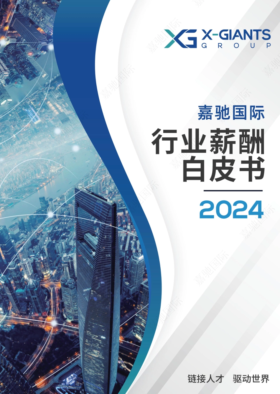 2024行业薪酬白皮书--嘉驰国际_第1页